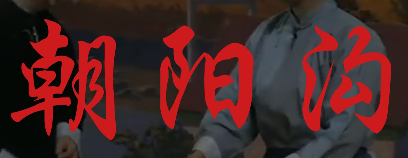 豫剧表演
